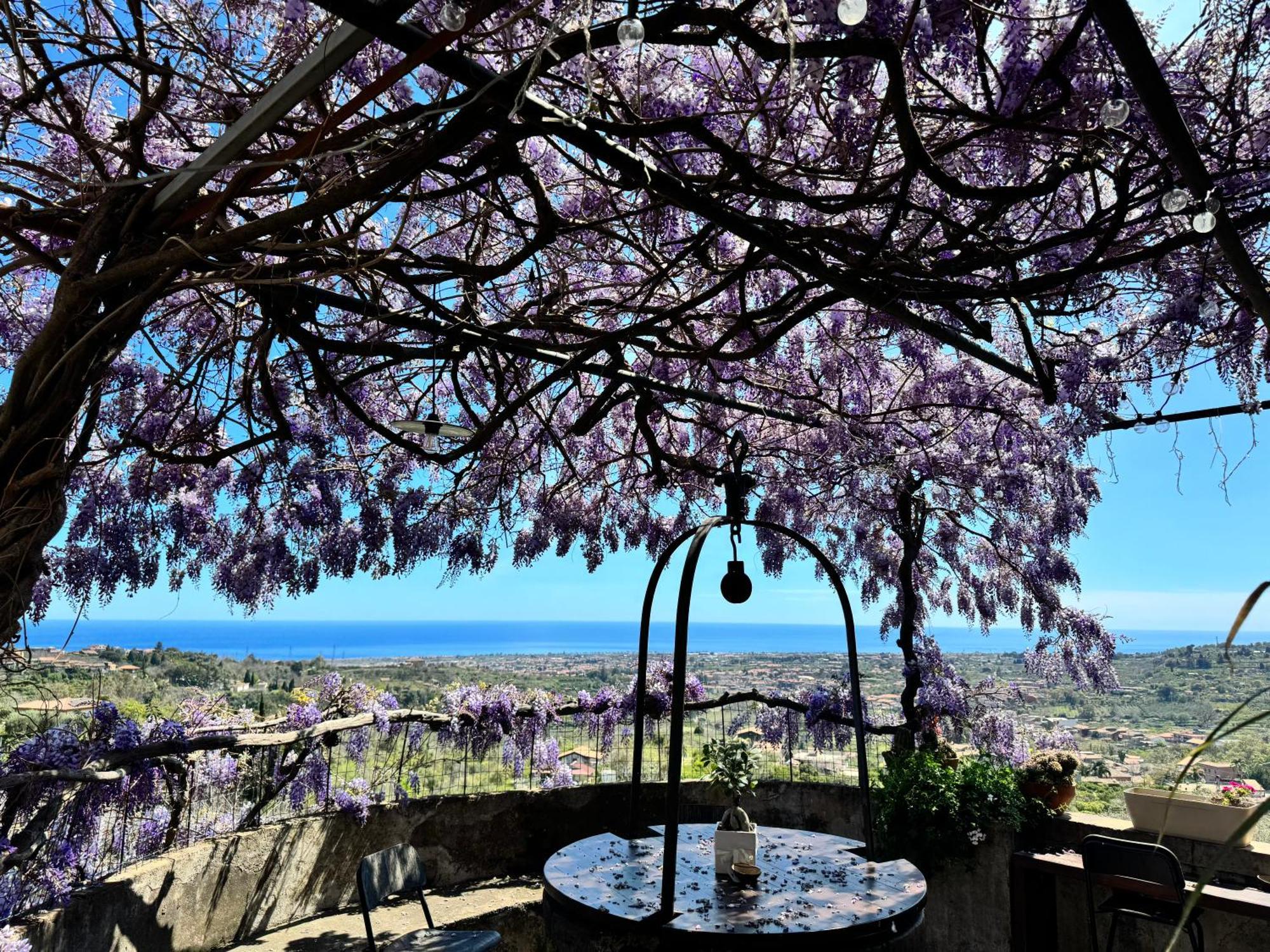 Il Noceto Dell'Etna Bed & Breakfast Giarre Exterior foto